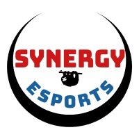 Synergy esports