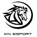 Kooy Network eSport