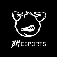 BM Esports