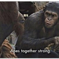 Apes Together Strong