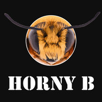 Horny B