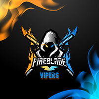 Team Fireblade Vipers