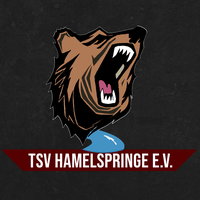 TSV Hamelspringe eSport