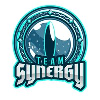Synergy Gaming