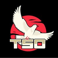 MLP TopSpawn Oldenburg ARMADILLOS