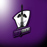 Destiny Warriors Gaming
