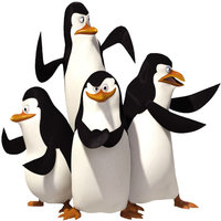 Raventail Penguins
