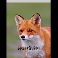 SparFüchse