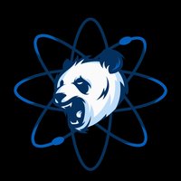 Team Quantum Panda