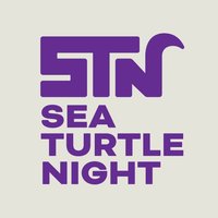 SeaTurtleNight