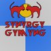 SynyrgyGymyng^
