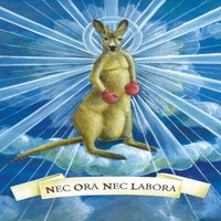 Das Asoziale Netzwerk