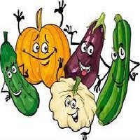 The Cucurbitaceous Plants