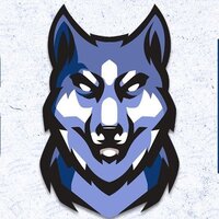 Huskies eSport