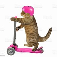 Die gefährlichen Fünf