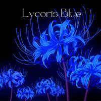 Lycoris Blue