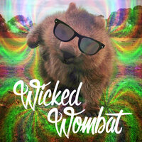 Wicked Wombats