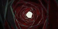 Arcadia Black Rose