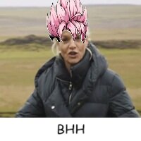 Brüder von Henri Henrisson