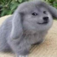 AutomatenAndiAllstars