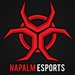 Napalm eSports