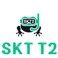 Seekrötentaucher Team 2