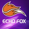 Echo Foxes.