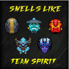 SL Team Spirit