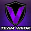 Team Vigor