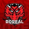 Boreal e-Sports Company
