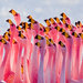 Flamingo Boys