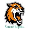 Xtreme E-sports