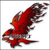Team Phoenyx