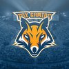 FoX Gaming
