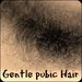 Gentle Pubic Hair