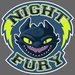 Night Fury