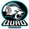 Quad Gaming Dota 2