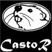 CastoR