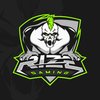 RizeGaming-GBS