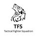 tactical fighter squadron