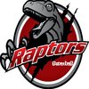 Raptors