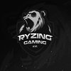 Ryzing Gaming Black