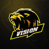 Vision eSport