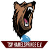 TSV Hamelspringe Academy