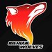 Iberian WolfPack