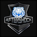 Aftershock Gaming