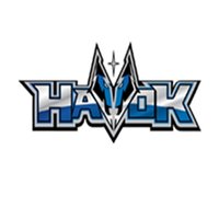 HavoK Esports