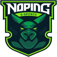 NoPing eSports