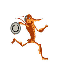 Shrimps