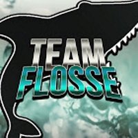 TeamFlosse
